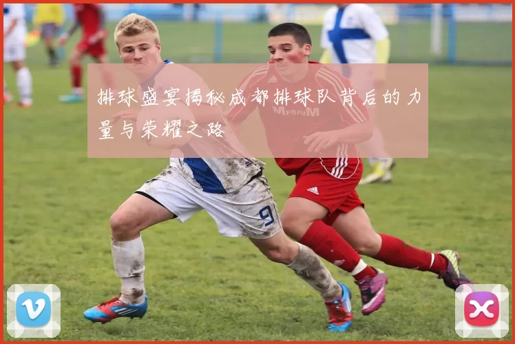 排球盛宴揭秘成都排球队背后的力量与荣耀之路