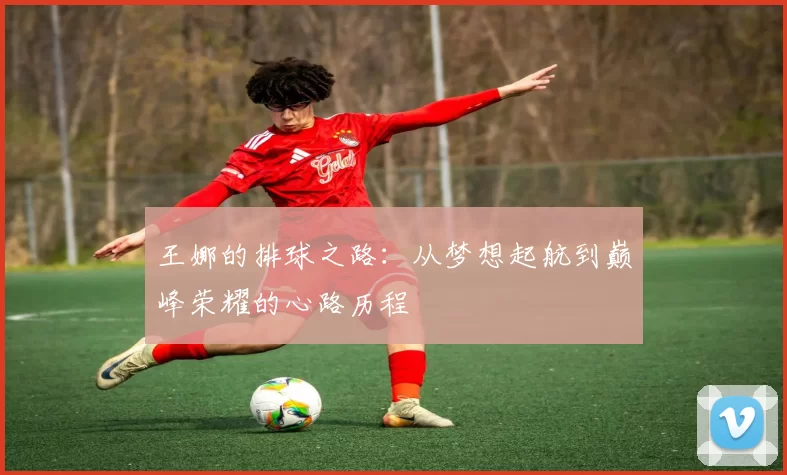 王娜的排球之路：从梦想起航到巅峰荣耀的心路历程