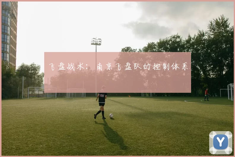 飞盘战术：南京飞盘队的控制体系