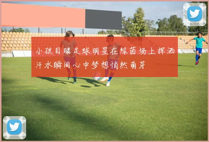 小孩目睹足球明星在绿茵场上挥洒汗水瞬间心中梦想悄然萌芽