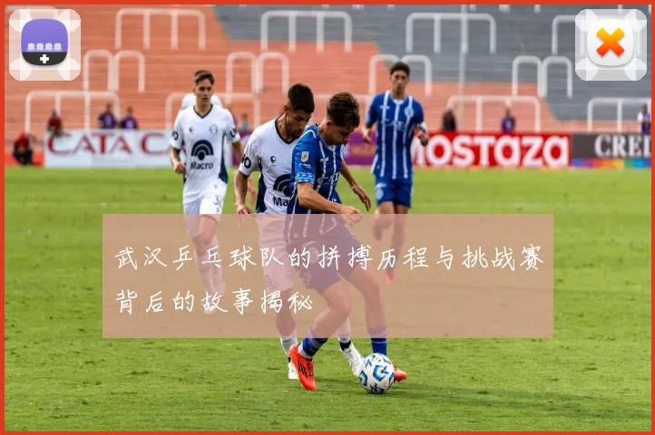 武汉乒乓球队的拼搏历程与挑战赛背后的故事揭秘