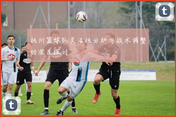 杭州篮球队灵活性分析与战术调整的深度探讨