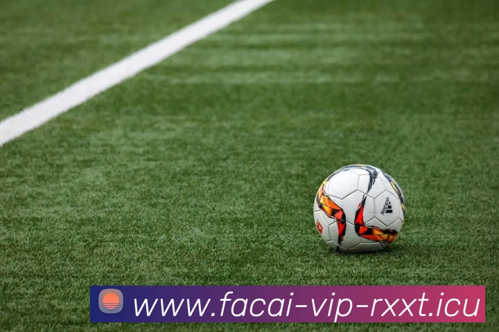 爱游戏体育品牌故事