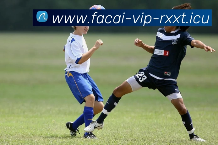 爱游戏体育服务体系