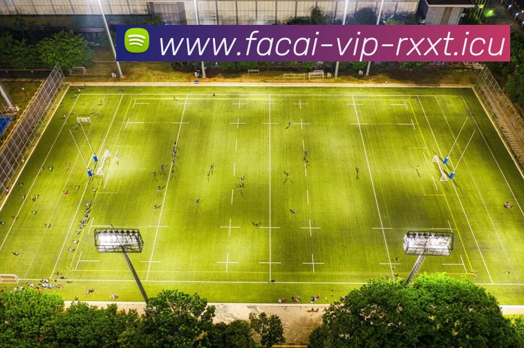 多媒体互动体验